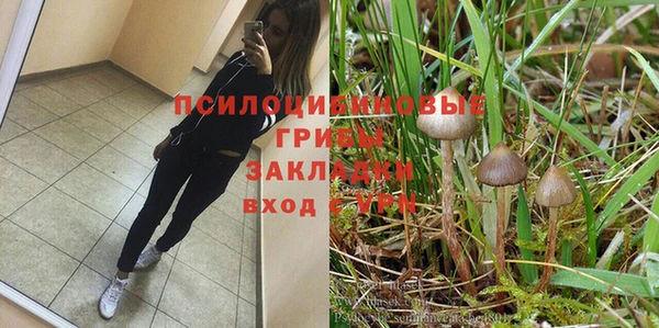 не бодяженный Козельск