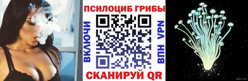 ОМГ ОМГ зеркало  Пушкино  Галлюциногенные грибы мицелий 